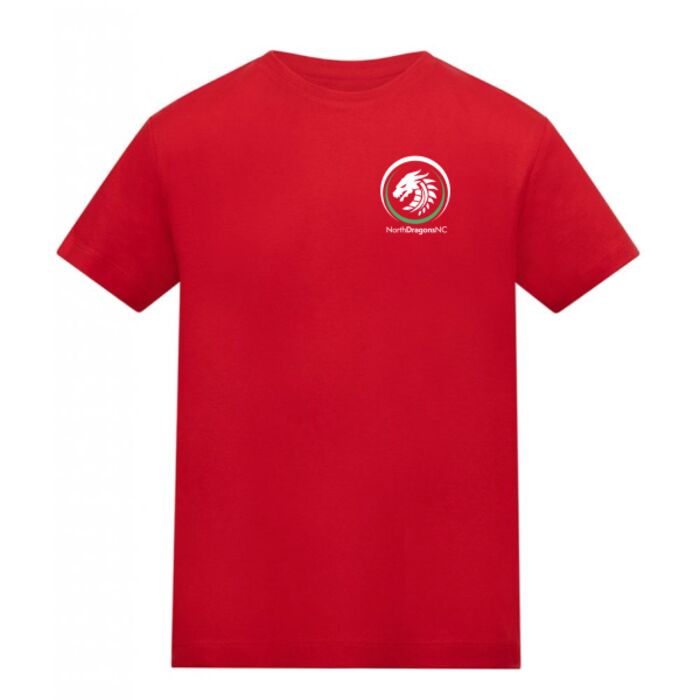 North Dragons Training Tee Thumbnail